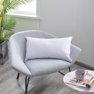  TWO LAYER DOWN PILLOW